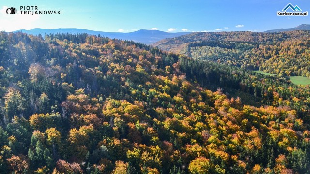 Widok z wiezy